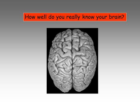 How well do you really know your brain?. Brain Facts 1.How much does your brain weigh (adult)? 2.How much at birth? 3.Your brain accounts for what percentage.