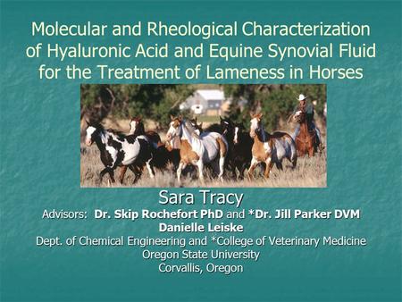 Molecular and Rheological Characterization of Hyaluronic Acid and Equine Synovial Fluid for the Treatment of Lameness in Horses Sara Tracy Advisors:Dr.