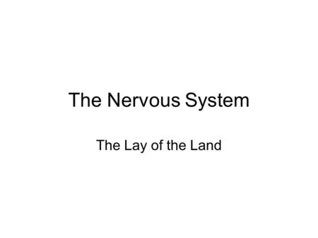 The Nervous System The Lay of the Land. Nervous system Central nervous system Peripheral nervous system.
