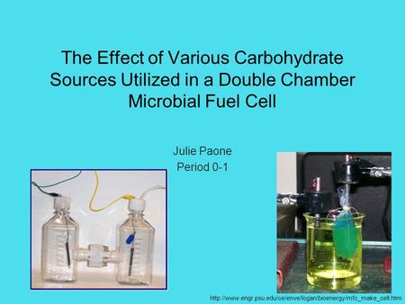 The Effect of Various Carbohydrate Sources Utilized in a Double Chamber Microbial Fuel Cell Julie Paone Period 0-1 http://www.engr.psu.edu/ce/enve/logan/bioenergy/mfc_make_cell.htm.