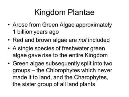Kingdom Plantae Arose from Green Algae approximately 1 billion years ago Red and brown algae are not included A single species of freshwater green algae.