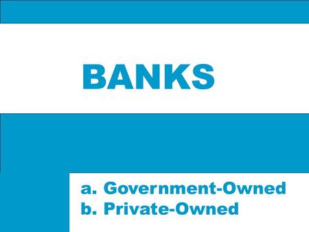 BANKS Government-Owned Private-Owned.