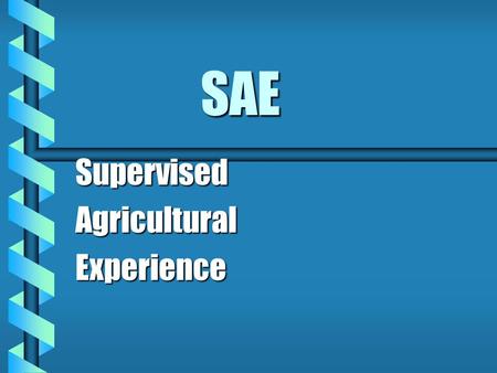 SAE SupervisedAgriculturalExperience. What are my agricultural interests? b Students have SAE’s to: provide agricultural experiencesprovide agricultural.