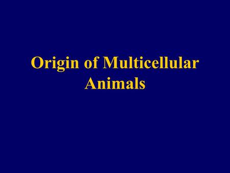 Origin of Multicellular Animals. The Appearance of Multicellularity Multicellular algae appeared about 1.0 Bya Multicellular animals appeared about 0.6.