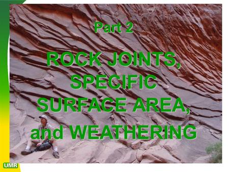 ROCK JOINTS, SPECIFIC SURFACE AREA,
