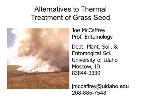 Alternatives to Thermal Treatment of Grass Seed Joe McCaffrey Prof. Entomology Dept. Plant, Soil, & Entomogical Sci. University of Idaho Moscow, ID 83844-2339.