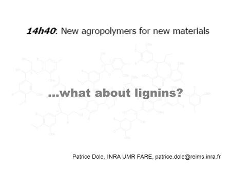 Patrice Dole, INRA UMR FARE, …what about lignins?