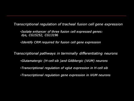 Transcriptional regulation of tracheal fusion cell gene expression Isolate enhancer of three fusion cell expressed genes: dys, CG15252, CG13196 Identify.