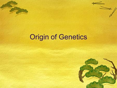 Origin of Genetics. All of your traits come from your parents  Hair color  Eye color  Height  Weight.