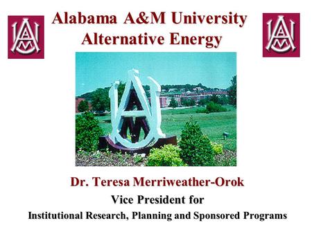 Alabama A&M University Alternative Energy Dr. Teresa Merriweather-Orok Vice President for Institutional Research, Planning and Sponsored Programs.