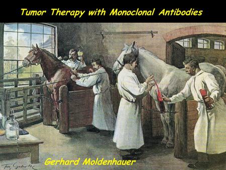 Tumor Therapy with Monoclonal Antibodies