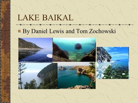 LAKE BAIKAL By Daniel Lewis and Tom Zochowski. BIOLOGY There are more than 2600 species and varieties of animal and over 1000 species of plants in Baikal.