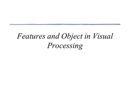 Features and Object in Visual Processing. The Waterfall Illusion.