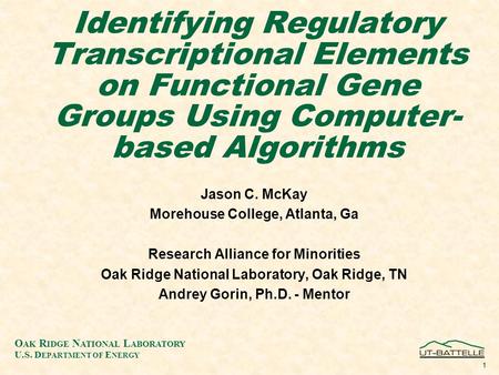 O AK R IDGE N ATIONAL L ABORATORY U.S. D EPARTMENT OF E NERGY 1 Identifying Regulatory Transcriptional Elements on Functional Gene Groups Using Computer-