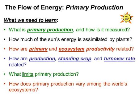 The Flow of Energy: Primary Production