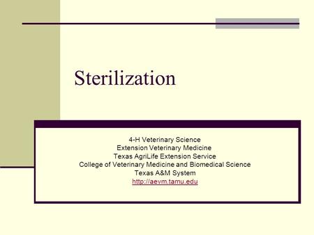 Sterilization 4-H Veterinary Science Extension Veterinary Medicine Texas AgriLife Extension Service College of Veterinary Medicine and Biomedical Science.