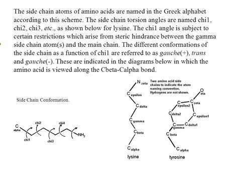The side chain atoms of amino acids are named in the Greek alphabet according to this scheme. The side chain torsion angles are named chi1, chi2, chi3,
