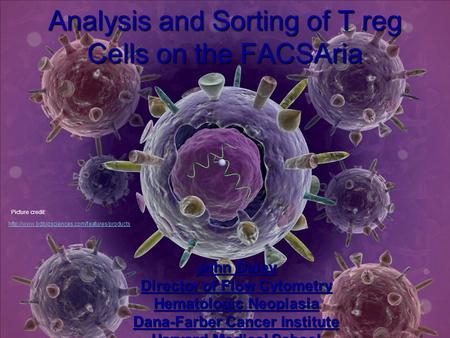 Analysis and Sorting of T reg Cells on the FACSAria John Daley Director of Flow Cytometry Hematologic Neoplasia Dana-Farber Cancer Institute Harvard Medical.
