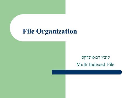 קובץ רב-אינדקס Multi-Indexed File