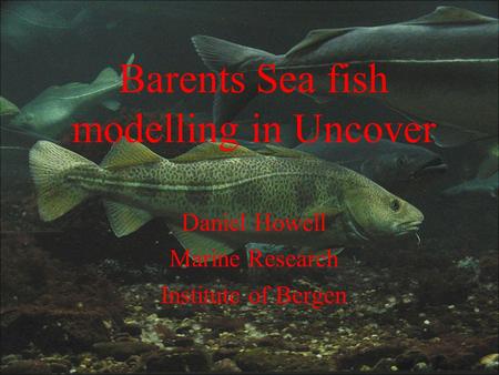 Barents Sea fish modelling in Uncover Daniel Howell Marine Research Institute of Bergen.