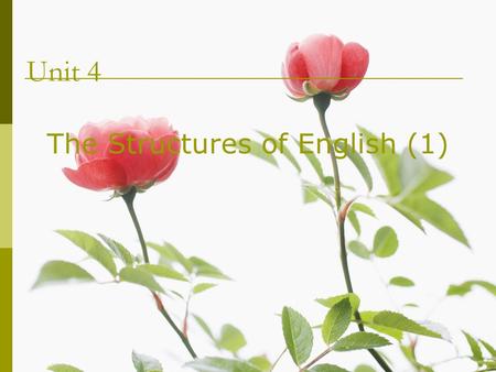 Unit 4 The Structures of English (1). Contents 5.1 Defining syntax （句法学） 5.2 Syntactic patterns in English 5.3 Syntactic relations 5.4 The hierarchical.