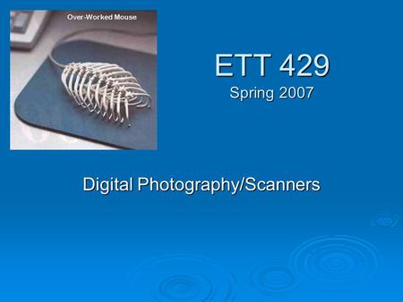 ETT 429 Spring 2007 Digital Photography/Scanners.