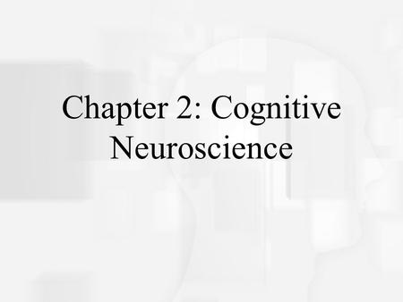 Cognitive Psychology, Fifth Edition, Robert J. Sternberg Chapter 2 Chapter 2: Cognitive Neuroscience.