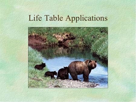 Life Table Applications. Population Sampling Problems –Where is the population? Does it have borders? –How much do you sample for population estimate?