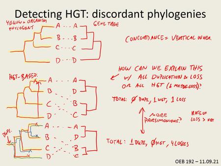 Detecting HGT: discordant phylogenies OEB 192 – 11.09.21.