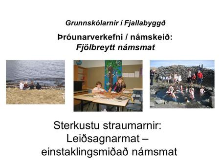 Sterkustu straumarnir: Leiðsagnarmat – einstaklingsmiðað námsmat Grunnskólarnir í Fjallabyggð Þróunarverkefni / námskeið: Fjölbreytt námsmat.