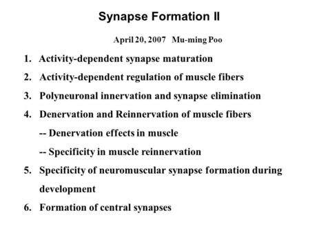 Synapse Formation II April 20, 2007 Mu-ming Poo 1. Activity-dependent synapse maturation 2.Activity-dependent regulation of muscle fibers 3.Polyneuronal.