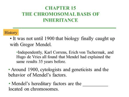 CHAPTER 15 THE CHROMOSOMAL BASIS OF INHERITANCE It was not until 1900 that biology finally caught up with Gregor Mendel. Independently, Karl Correns, Erich.