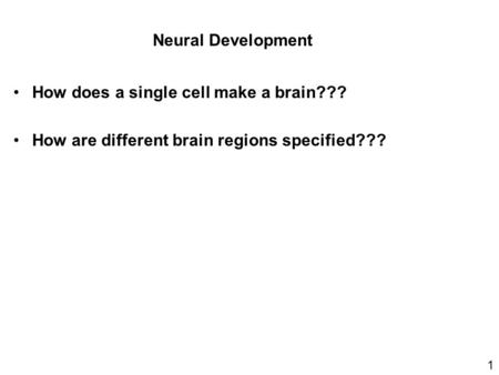 How does a single cell make a brain???