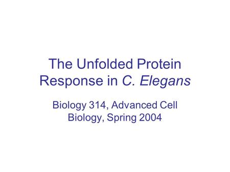 The Unfolded Protein Response in C. Elegans Biology 314, Advanced Cell Biology, Spring 2004.