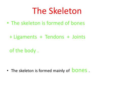 The Skeleton The skeleton is formed of bones