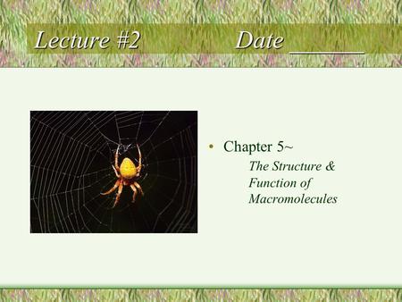 Lecture #2Date ______ Chapter 5~ The Structure & Function of Macromolecules.