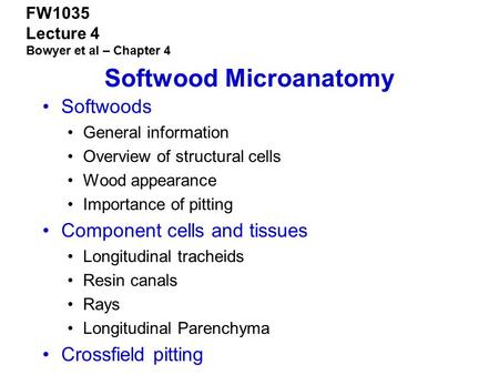 Softwood Microanatomy