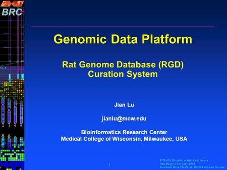 O’Reilly Bioinformatics Conference San Diego, February 2003 Genomic Data Platform: RGD Curation System 1 Genomic Data Platform Rat Genome Database (RGD)