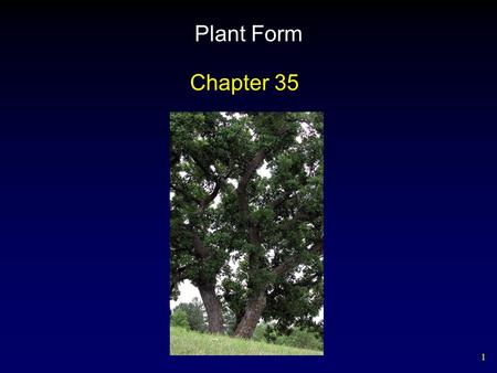 Plant Form Chapter 35.