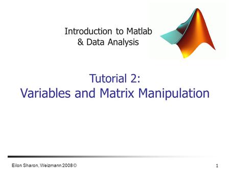 Eilon Sharon, Weizmann 2008 © 1 Introduction to Matlab & Data Analysis Tutorial 2: Variables and Matrix Manipulation.