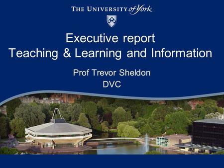 Executive report Teaching & Learning and Information Prof Trevor Sheldon DVC.