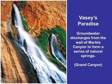 Vasey’s Paradise Groundwater discharges from the wall of Marble Canyon to form a series of natural springs. (Grand Canyon)