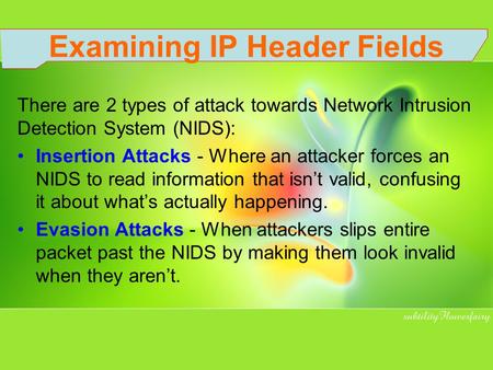 Examining IP Header Fields