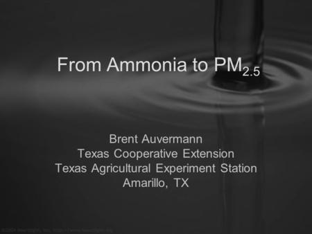 From Ammonia to PM 2.5 Brent Auvermann Texas Cooperative Extension Texas Agricultural Experiment Station Amarillo, TX.