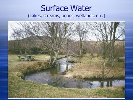 Surface Water (Lakes, streams, ponds, wetlands, etc.)