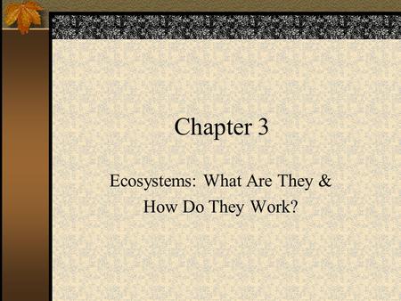 Chapter 3 Ecosystems: What Are They & How Do They Work?