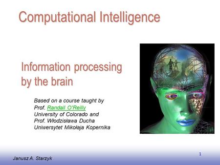 Information processing by the brain