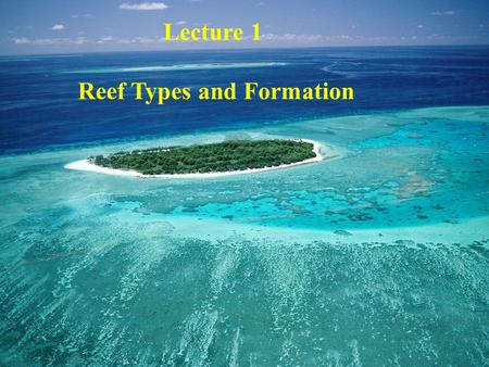 Lecture 1 Reef Types and Formation. Bonaire. N.A.