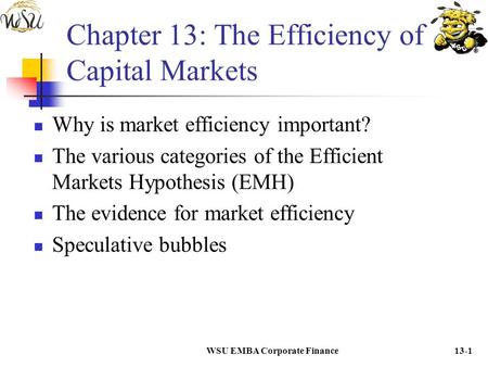 Chapter 13: The Efficiency of Capital Markets