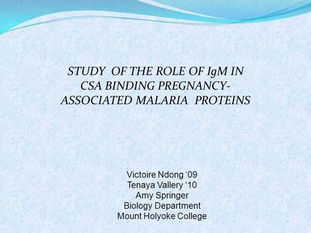 STUDY OF THE ROLE OF IgM IN CSA BINDING PREGNANCY- ASSOCIATED MALARIA PROTEINS Victoire Ndong ‘09 Tenaya Vallery ‘10 Amy Springer Biology Department Mount.